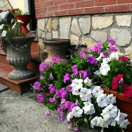 Maison Fleurie *